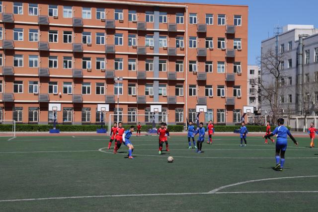 巴媒盘点各国世界杯16强次数：巴西13次，阿根廷11次，西、德10次